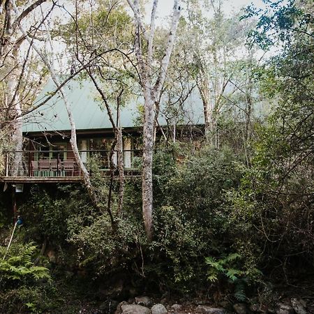 Rockwood Karkloof Forest Lodge & Mountain Cabin Yarrow Zewnętrze zdjęcie