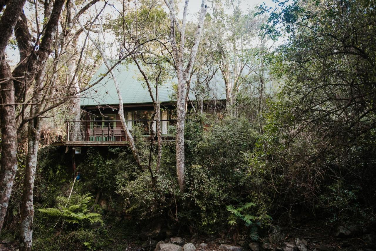 Rockwood Karkloof Forest Lodge & Mountain Cabin Yarrow Zewnętrze zdjęcie
